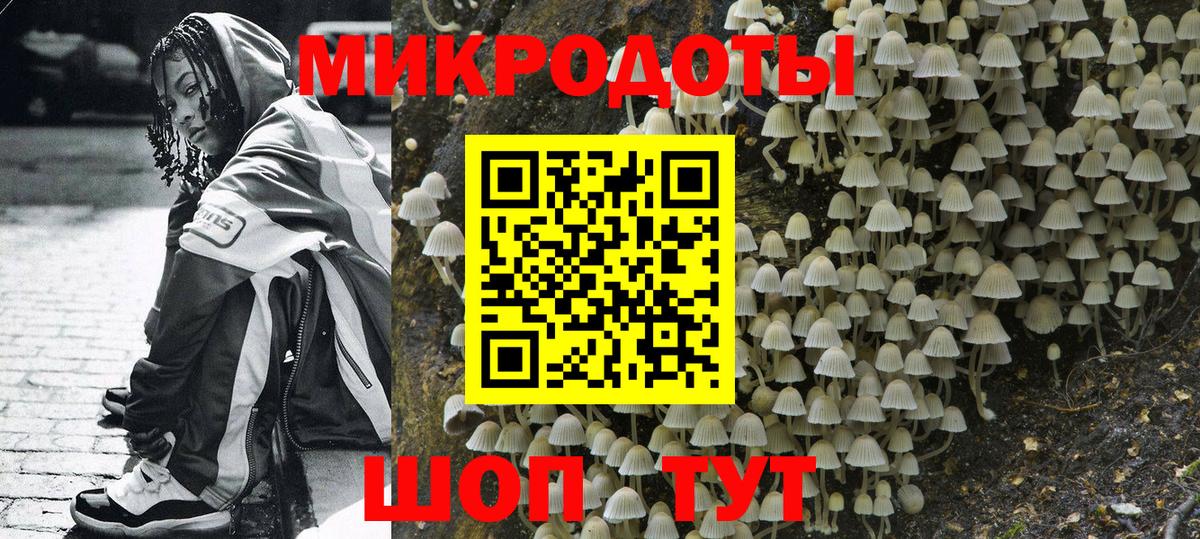 Галлюциногенные грибы Psilocybe Заволжье