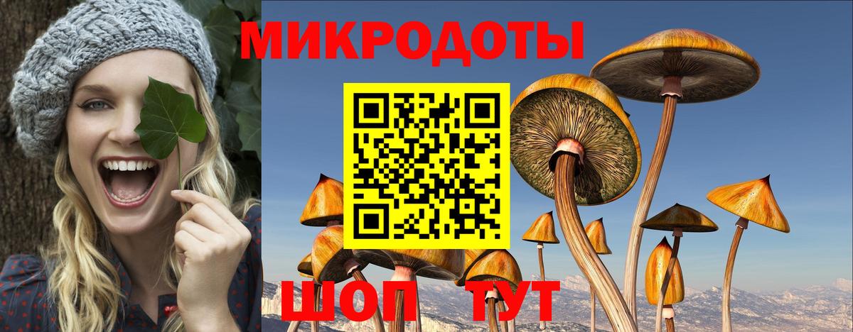 Заволжье  Псилоцибиновые грибы Cubensis  Вход с VPN 